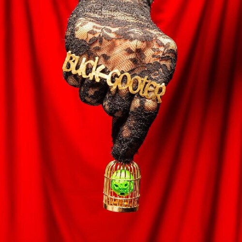 Buck Gooter - Head In A Bird Cage - Vinyl Record