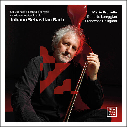 Bach,j.s. / Brunello / Galligioni - Sei Suonate A Cembalo Certato - Music CD
