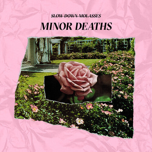 Slow Down Molasses - Minor Deaths - Vinyl Record