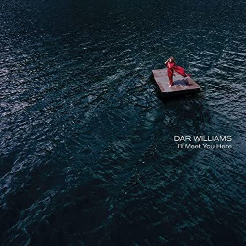 Williams,dar - I'll Meet You Here - Vinyl Record