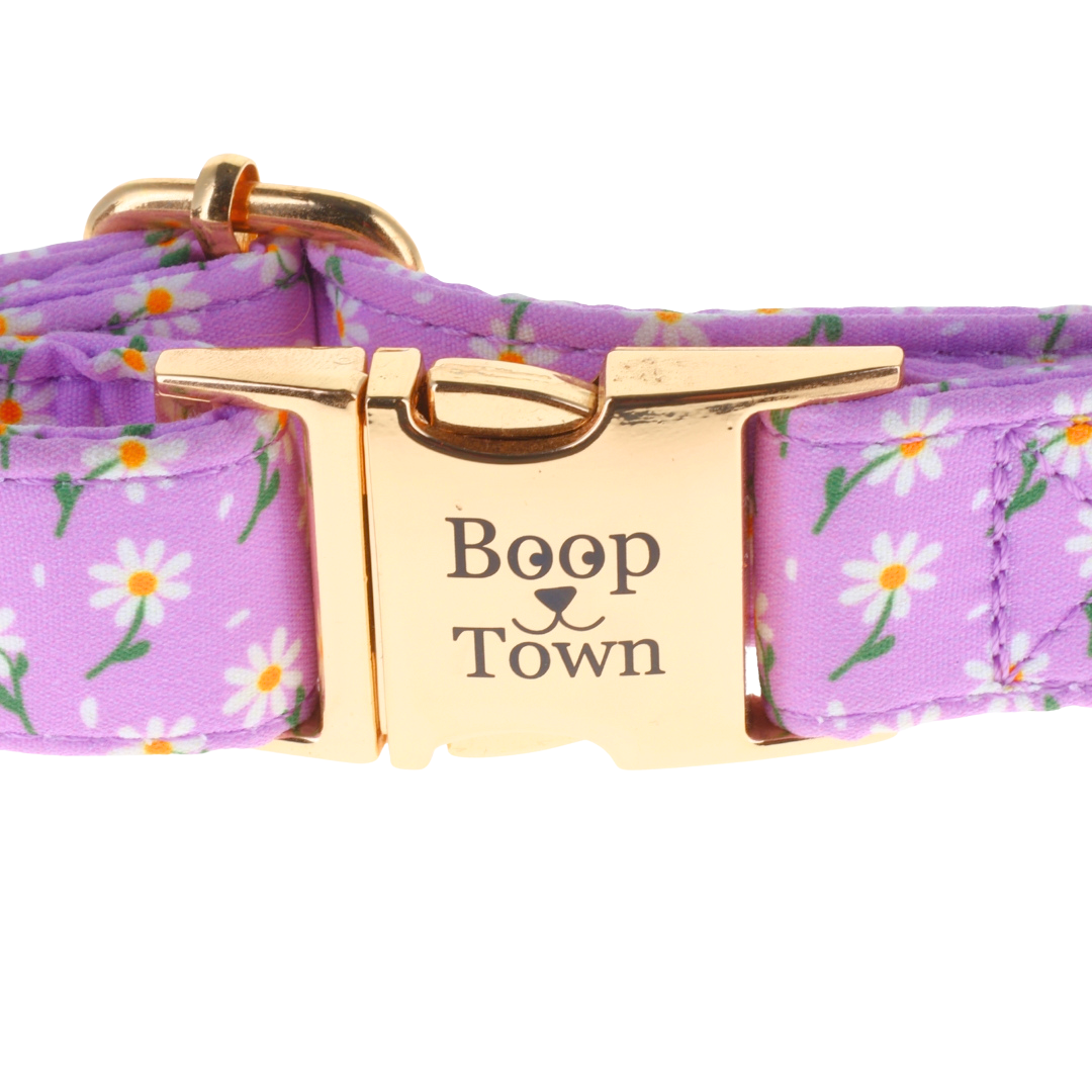 Purple Daisy Collar