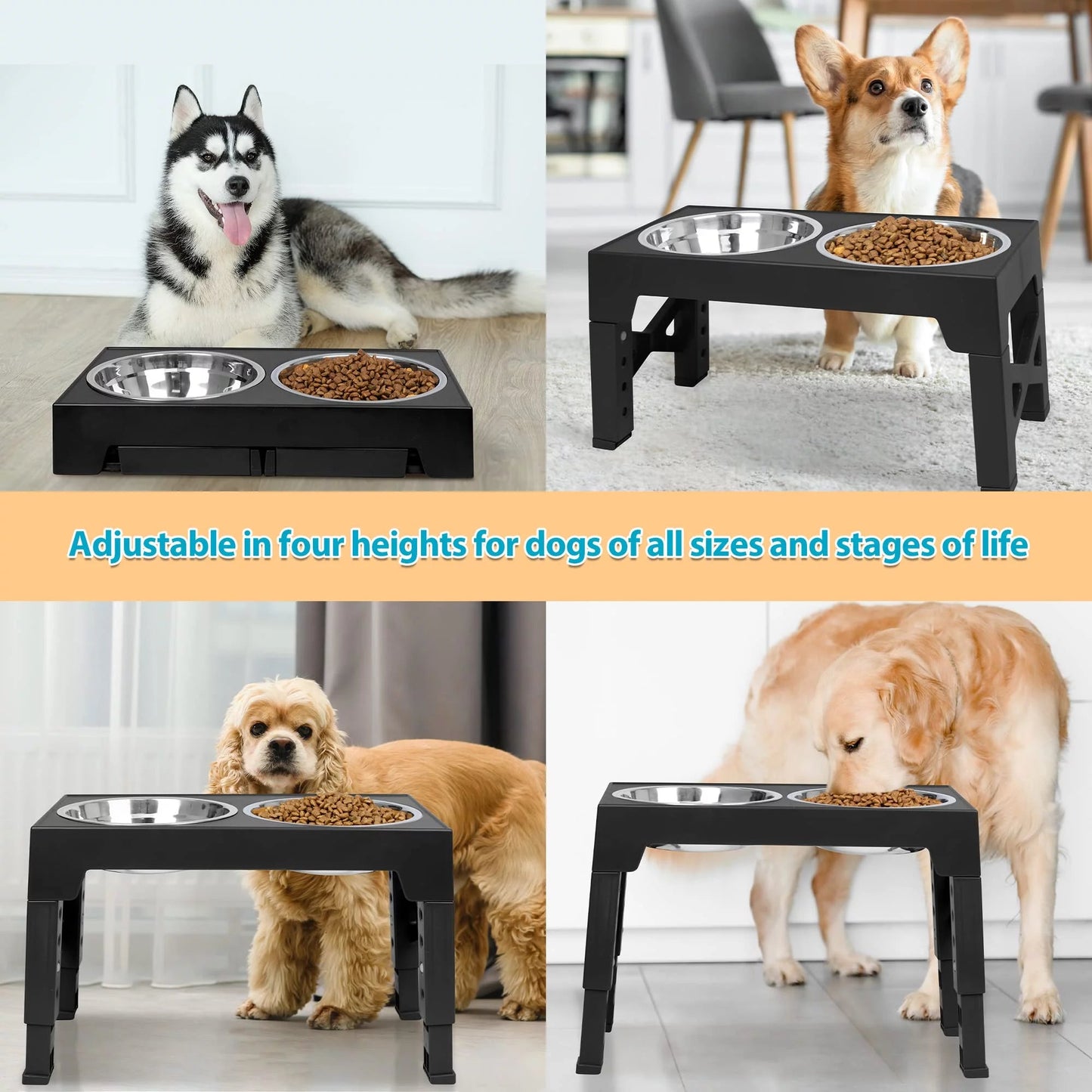 Top 10 Elevated Dog Bowl Stands with Stainless Steel Dishes