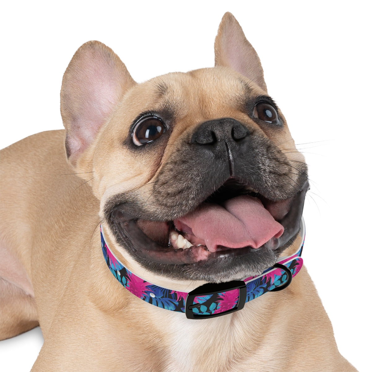 Rad Palm Pineapple Express Dog Collar