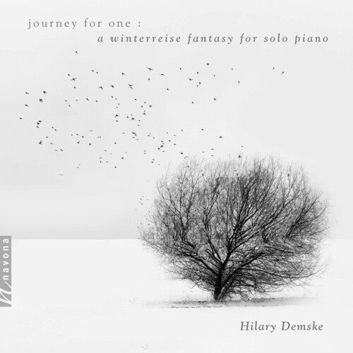 Schubert / Demske - Journey For One - Music CD