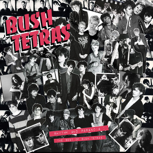 Bush Tetras - Rhythm & Paranoia: The Best Of Bush Tetras - Music CD