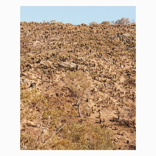 Pekler,andrew & Ielasi,giuseppe - Palimpsests - Vinyl Record