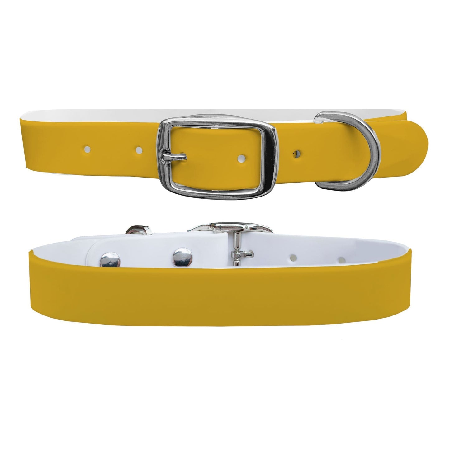 Canary Dog Collar