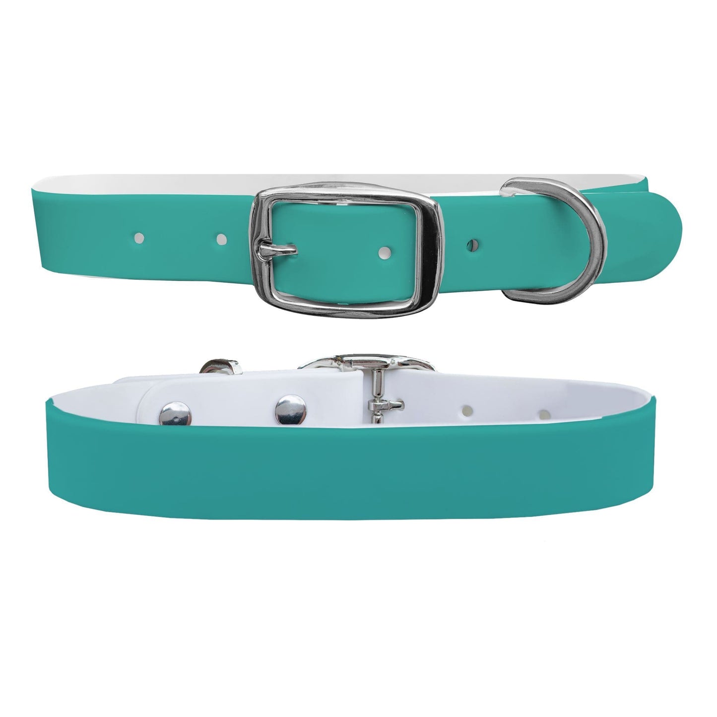 Turquoise Dog Collar