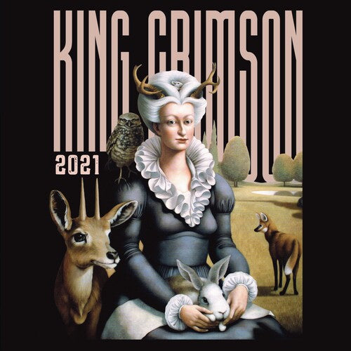 King Crimson - Music Is Our Friend: Live In Washington Dc - Music CD