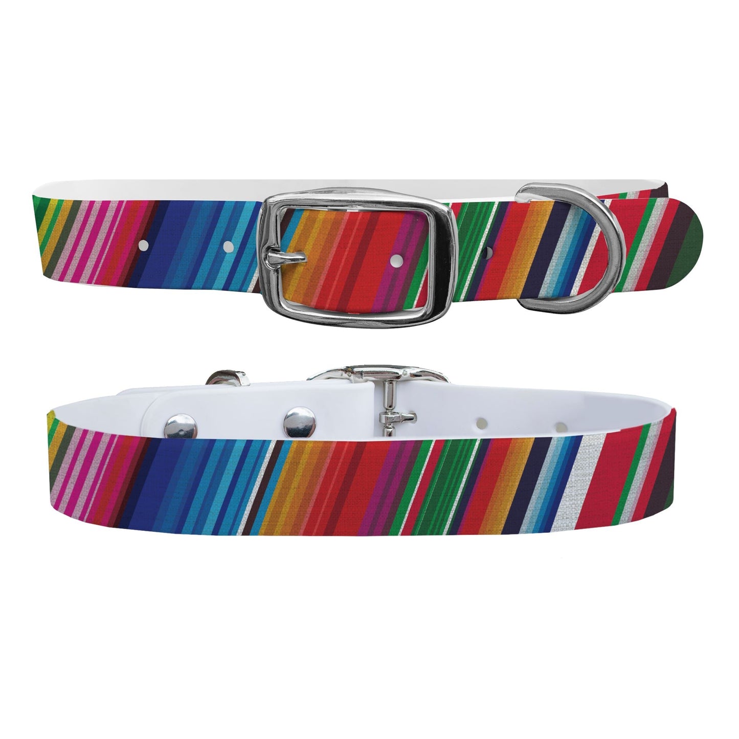 Technicolor Dog Collar