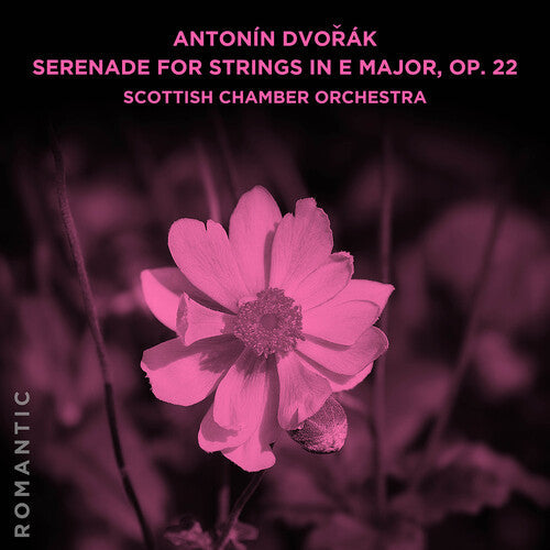 Scottish Chamber Orchestra - Antonin Dvorak: Serenade For Strings In E Major Op - Music CD