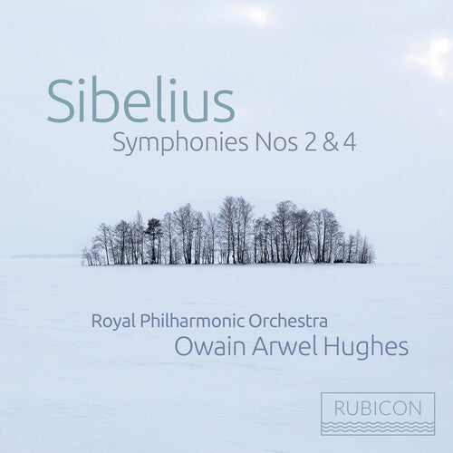 Royal Philharmonic Orchestra / Owain Arwel Hughes - Sibelius: Symphonies Nos. 2 & 4 - Music CD