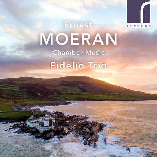 Moeran / Fidelio Trio / Sweeney - Chamber Music - Music CD