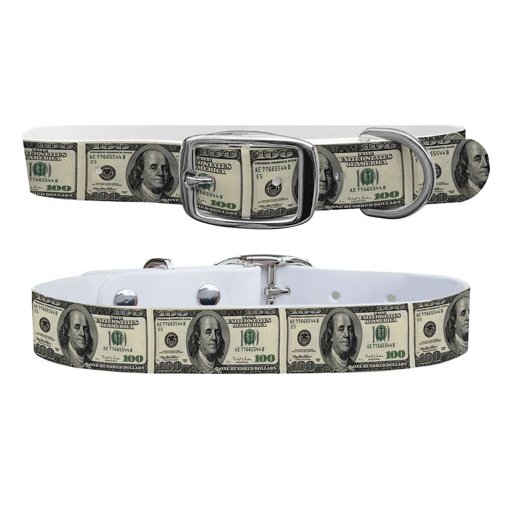 100 Dollar Bill Dog Collar