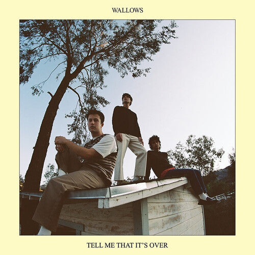 Wallows - Tell Me That It's Over - Vinyl Record