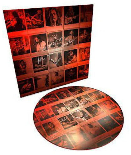 Cornell,chris - No One Sings Like You Anymore - Vinyl Record