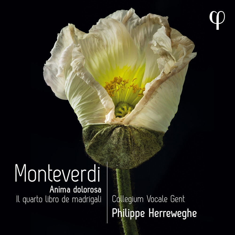 Monteverdi / Collegium Vocale Gent / Herreweghe - Il Quarto Libro De Music CD