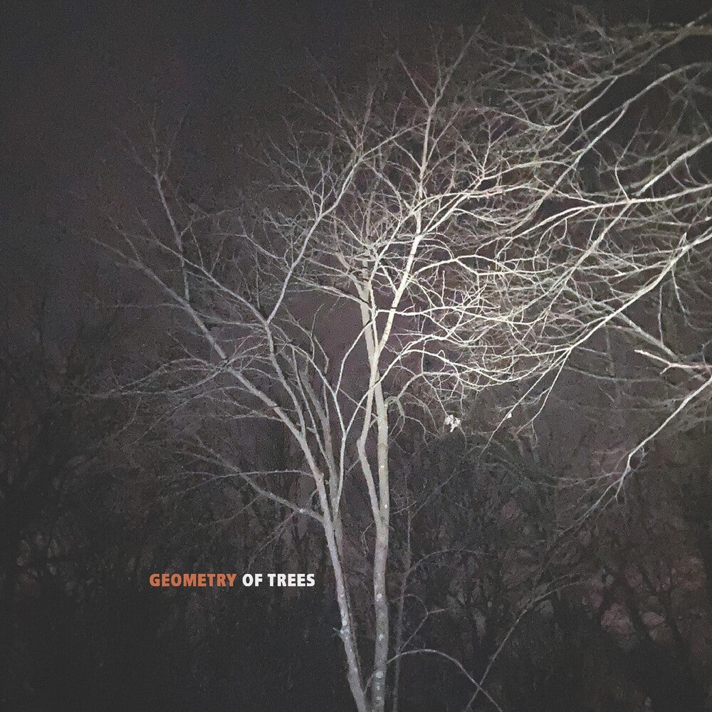Tomeka Reid - Geometry Of Trees Music CD