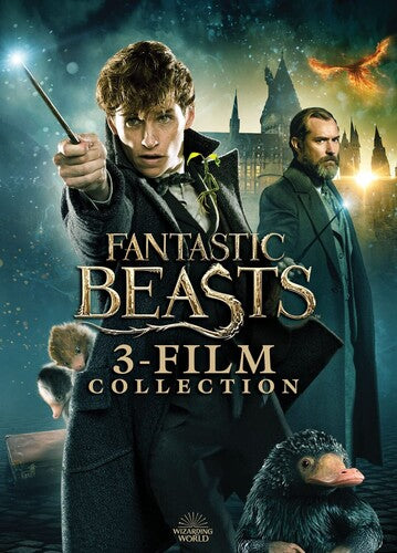 Fantastic Beasts 3-film Collection - Fantastic Beasts 3-film Collection - DVD