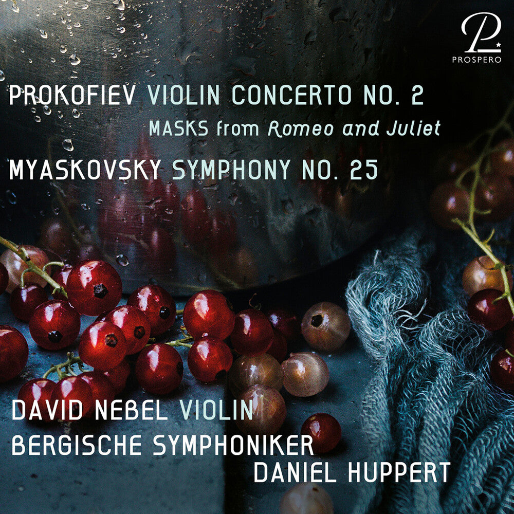 Myaskovsky / Bergische Sinfoniker / Nebel - Symphony 25 Music CD