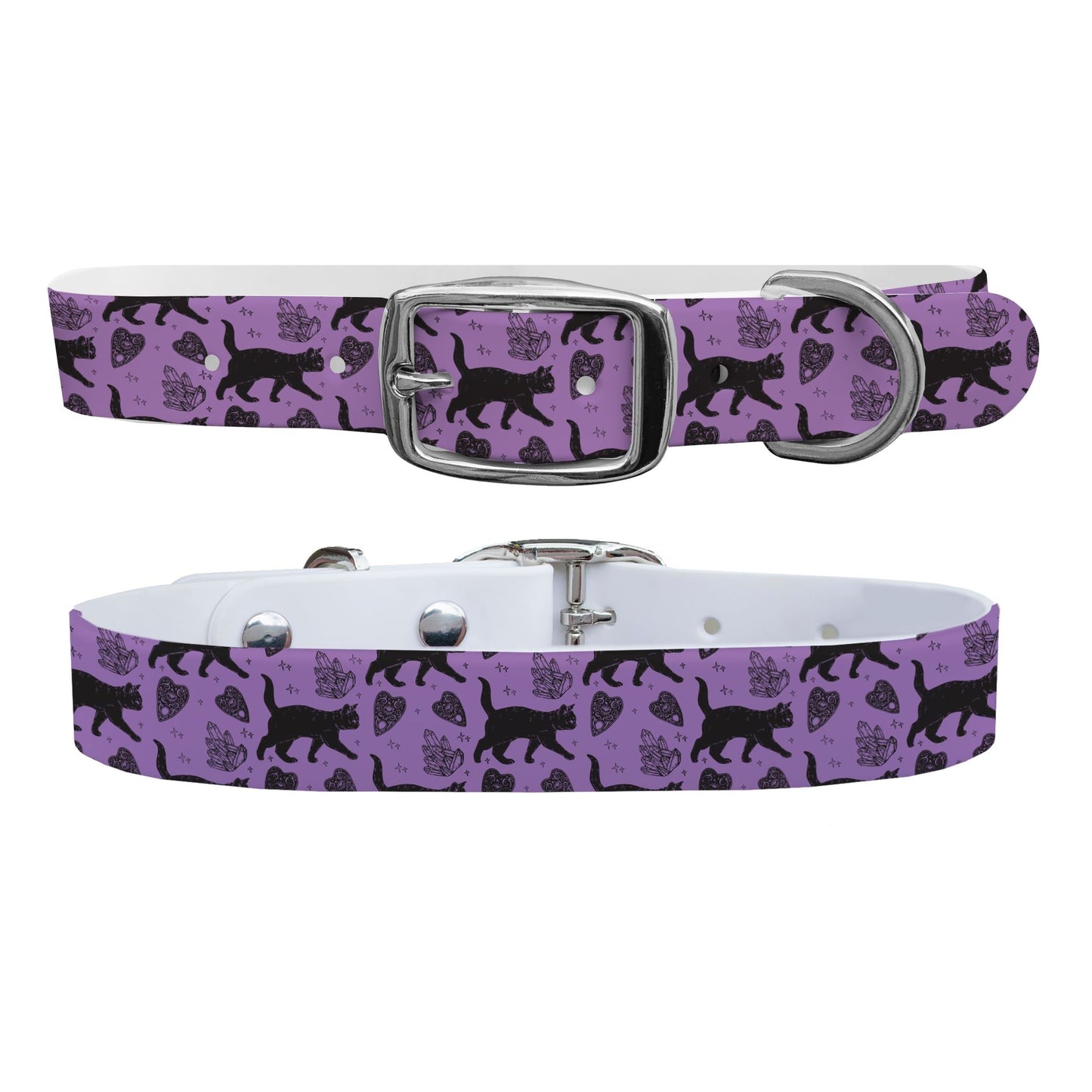 Black Cat Crossing Dog Collar