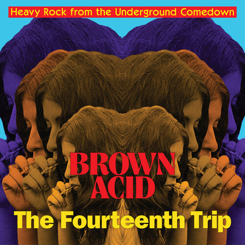 Brown Acid - Fourteenth Trip / Various Artists - Brown Acid - Fourteenth Trip (various Artists) - Music CD