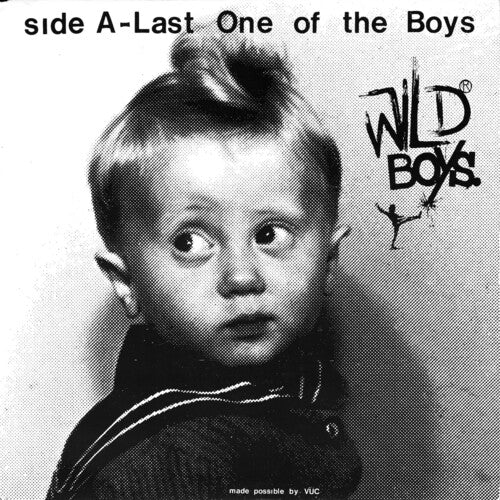 Wild Ones - Wild Boys - Last One Of The Boys / We're Only - Vinyl Record