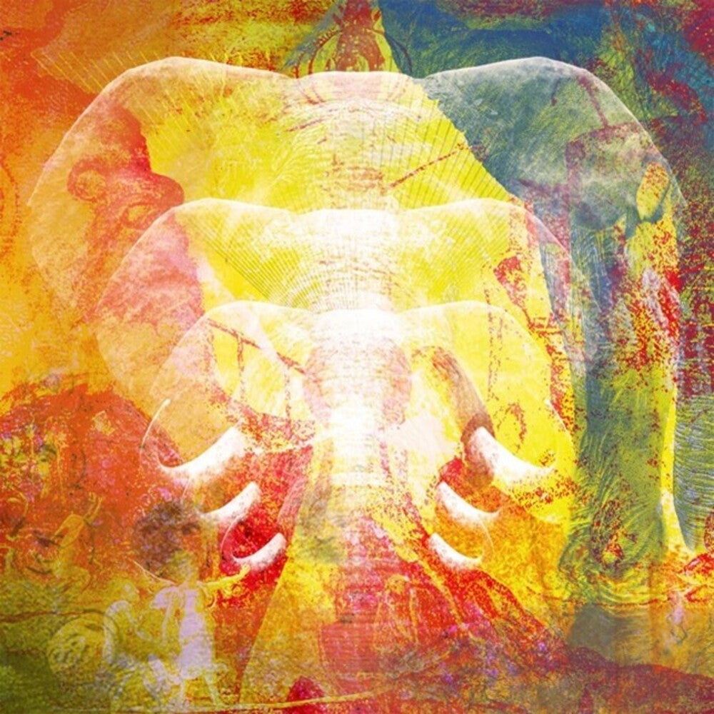 Join The Din - Elephants In Autumn Rage (Uk) Music CD