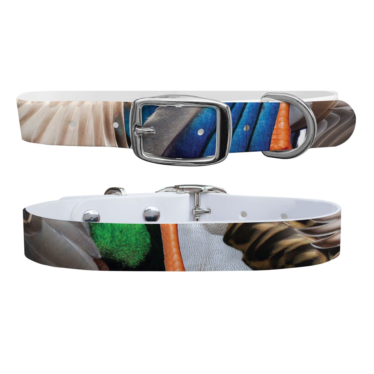 CP - Mallard Dog Collar