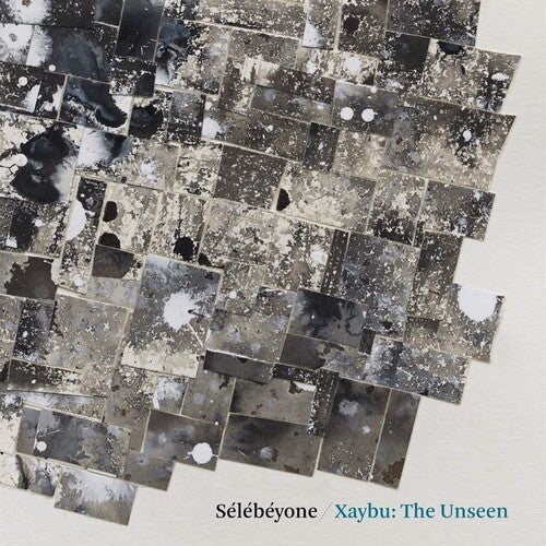 Lehman,steve / Selebeyone - Xaybu: The Unseen - Vinyl Record