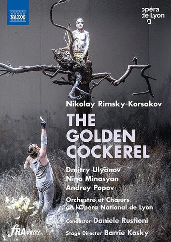 Rimsky-korsakov / Minasyan - Golden Cockerel - DVD