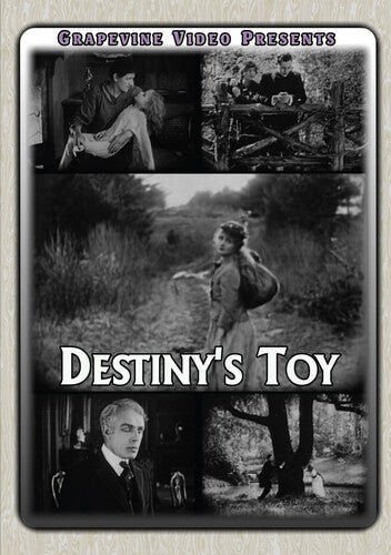 Destiny's Toy (1916) - Destiny's Toy (1916) - DVD