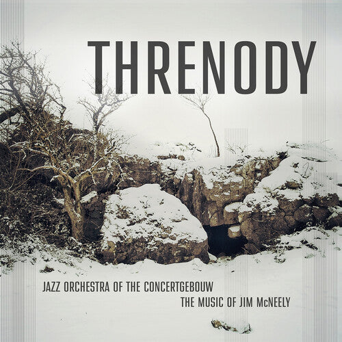 Mcneely / Jazz Orchestra Of The Concertgebouw - Threnody - Music CD