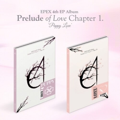 Epex - Prelude Of Love Chapter 1. Puppy Love (random Cvr) - Music CD