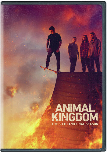 Animal Kingdom: Season 6 - Animal Kingdom: Season 6 - DVD