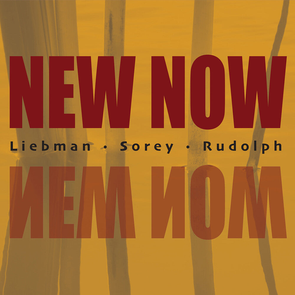 Dave Liebman / Rudolph,Adam / Sorey,Tyshawn - New Now Music CD