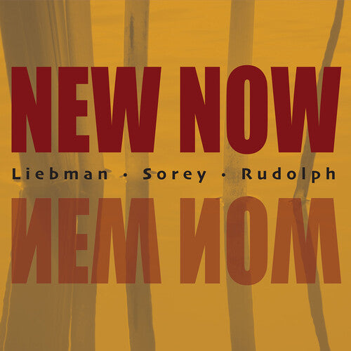 Liebman,dave / Rudolph,adam / Sorey,tyshawn - New Now - Music CD