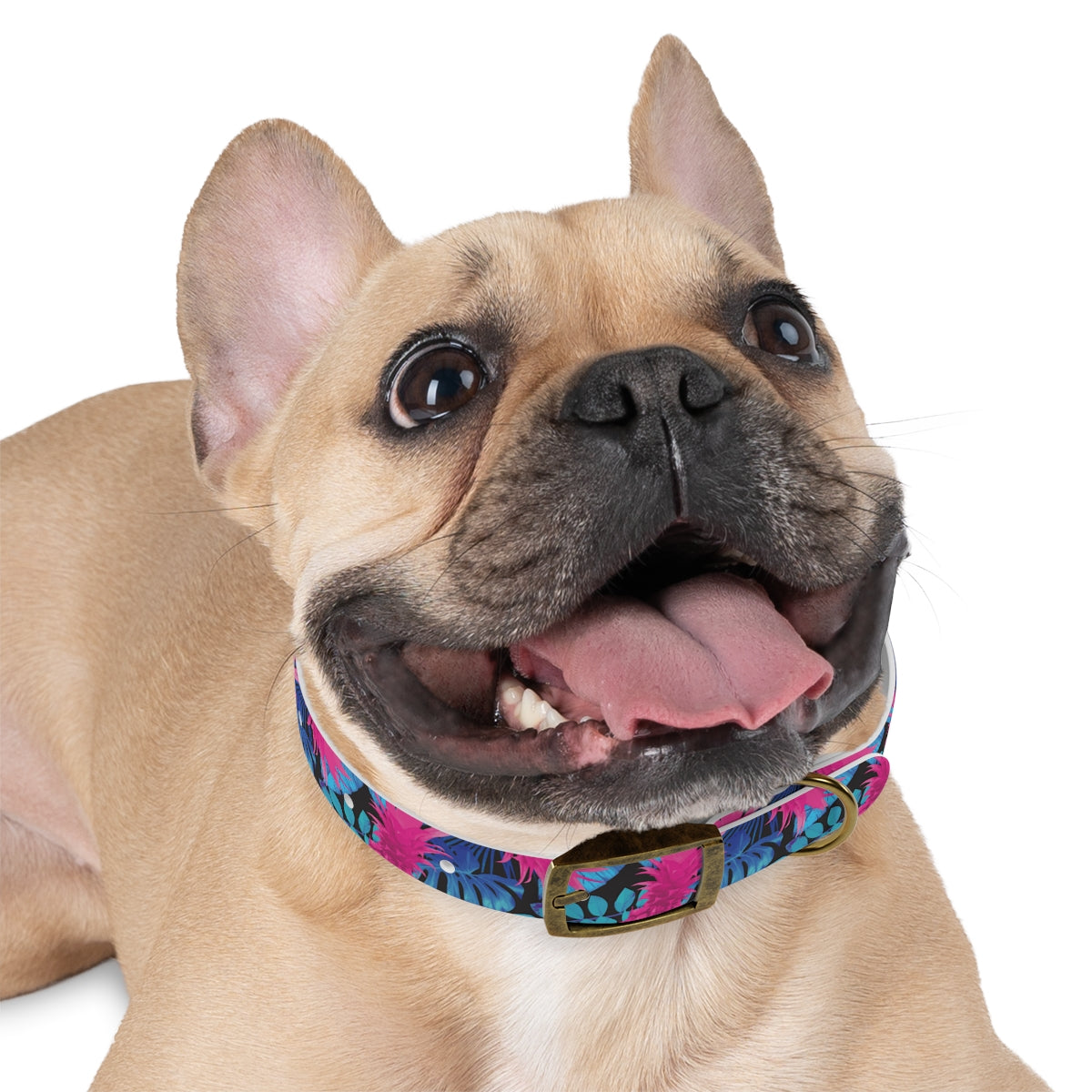 Rad Palm Pineapple Express Dog Collar