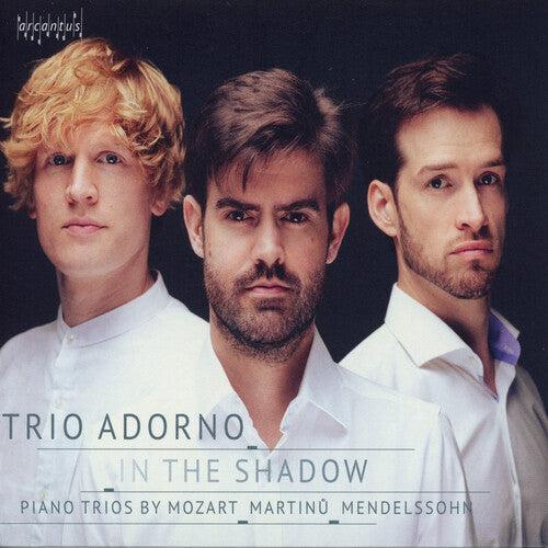 Mendelssohn / Trio Adorno - In The Shadow - Music CD