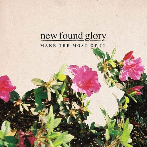 New Found Glory - Make The Most Of It - Vinyl Record