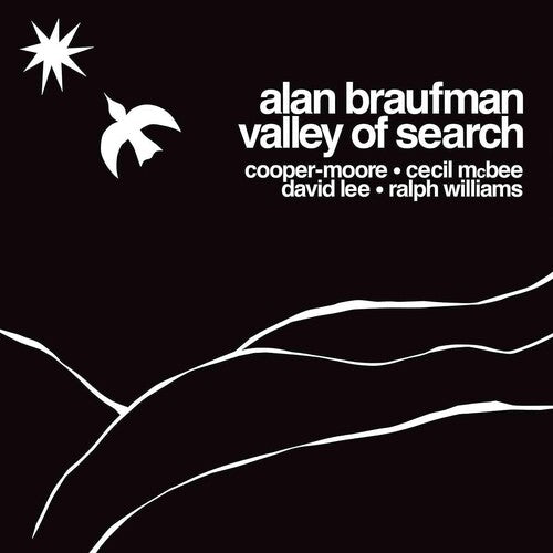 Braufman,alan - Valley Of Search - White - Vinyl Record