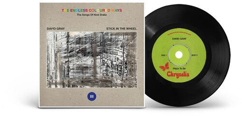 Gray,david - Endless Coloured Ways: The Songs Of Nick Drake - Vinyl Record