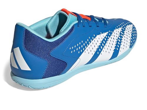adidas Predator Accuracy.4 Indoor Bright Royal/White/Bliss Blue Men's 7.5, Women's 8.5 Medium