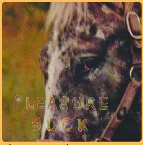 Spirit Of The Beehive - Pleasure Suck - Vinyl Record