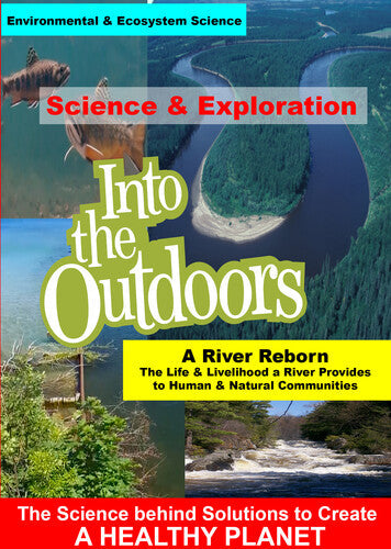 River Reborn - The Life And Livelihood A River - River Reborn - The Life And Livelihood A River - DVD