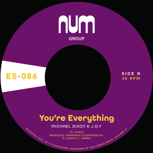 Dixon,michael A. & J.o.y. - You're Everything B/w You're All I Need - Vinyl Record