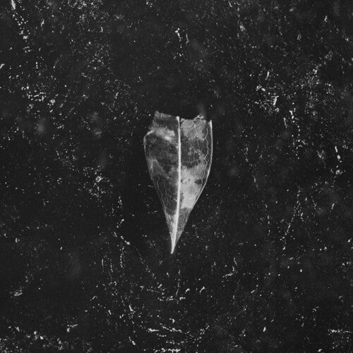 Bees Made Honey In The Vein Tree - Aion - Music CD