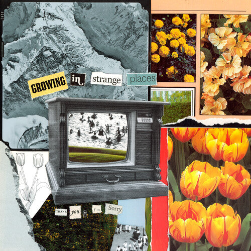 Thank You, I'm Sorry - Growing In Strange Places - Orange Crush - Vinyl Record