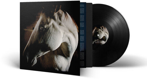 Brother Dege - How To Kill A Horse - Vinyl Record