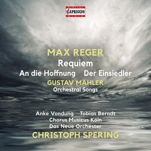 Mahler / Reger / Das Neue Orchester - Orchestral Songs - Music CD
